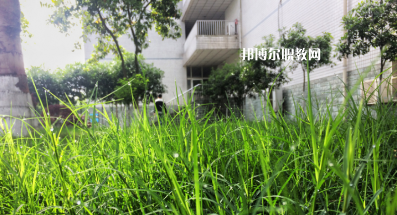 樂山計算機(jī)學(xué)校2022年學(xué)費、收費多少