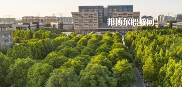 2023山東十大?？茖W(xué)校名單及排行榜