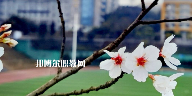 2023眉山技師學(xué)院招生計劃 招生人數(shù)是多少(附要求、條件、對象)