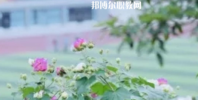 眉山技師學(xué)院地址在哪里，哪個(gè)地區(qū)，哪個(gè)城市?