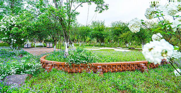 重慶望江技工學(xué)校地址在哪里，哪個(gè)地區(qū)，哪個(gè)城市?