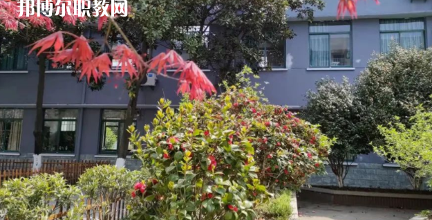 杭州僑星中學(xué)地址在哪里，哪個地區(qū)，哪個城市?