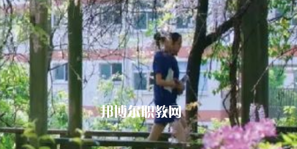 2023金華市成功學(xué)校招生計劃 招生人數(shù)是多少(附要求、條件、對象)