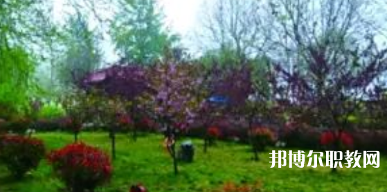 2023隆堯縣職業(yè)技術(shù)教育中心招生計劃 招生人數(shù)是多少(附要求、條件、對象)