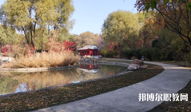 2024沈陽職業(yè)技術學院附屬中等專業(yè)學校招生計劃 招生人數是多少(附要求、條件、對象)