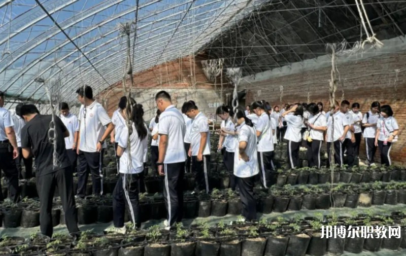 2024營口市農業(yè)工程學校招生計劃 招生人數(shù)是多少(附要求、條件、對象)