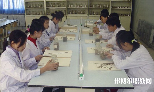沈陽市中醫(yī)藥學(xué)校怎么樣、好不好