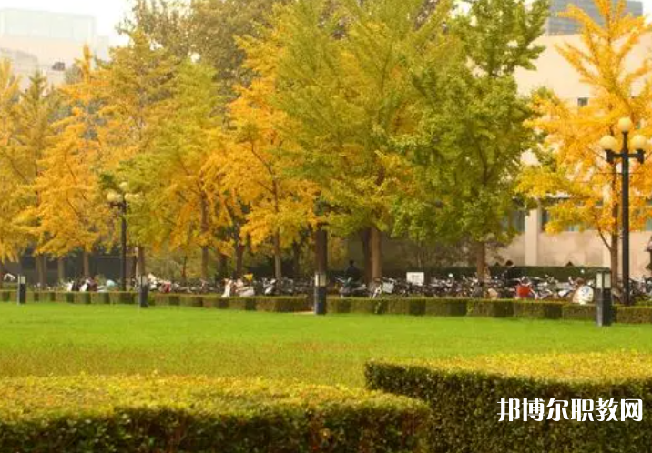 四川2025年消防技術(shù)工程學(xué)校學(xué)什么比較好